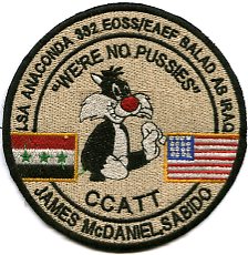 Eric's USAF patches